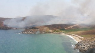 Avşa adasında otluk alanda yangın