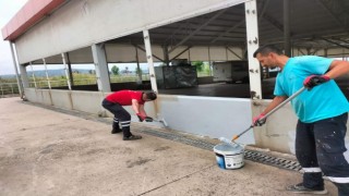 Ayazma Kapalı Pazarına bakım çalışması