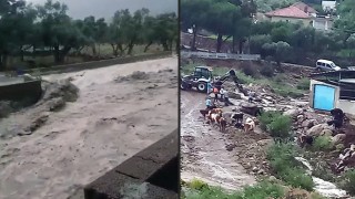 Aydın Çine'de sel: 4 büyükbaş hayvan kayboldu, traktör sel sularına kapıldı