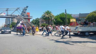 Aydında deve kültürü her alanda yaşatılıyor