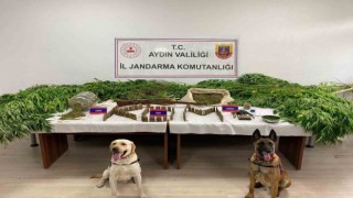 Aydında son 6 ayda 50 ton uyuşturucu madde ele geçirildi