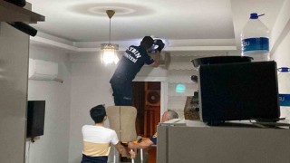 Aydında yarasa paniği