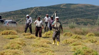 Aylıkları 30 bin liraya geliyor ancak sayıları her geçen gün azalıyor