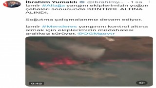 Bakan Yumaklıdan İzmirdeki yangınlarla ilgili açıklama