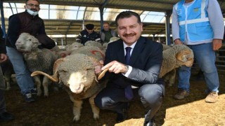 Balıkesir Büyükşehir, Bigadiçin yanında