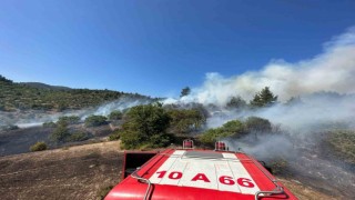 Balıkesir ile Kütahya arasındaki ormanlık alanda yangın