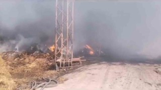 Balıkesirde çiftlikteki yangına müdahale devam ediyor