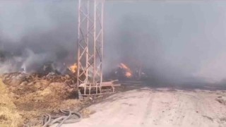 Balıkesirde çiftlikteki yangına müdahale devam ediyor