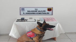 Balıkesirde jandarmadan uyuşturucu operasyonu