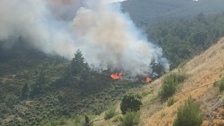 Balıkesirde orman yangını kontrol altına alındı