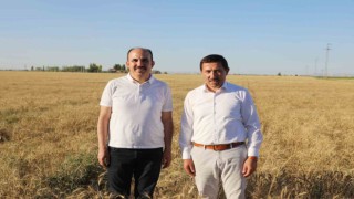 Başkan Altay: “Kurak iklimlerde yerli tohumun geliştirilmesi için AR-GE çalışması yapıyoruz
