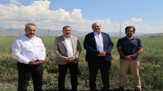Başkan Orhan; “Şimdi hasat zamanı”