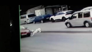 Başkentte köpeğe çarpıp kaçan sürücü güvenlik kameralarına yakalandı