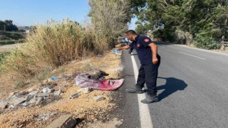 Bataklığa saplanan köpeği itfaiye kurtardı