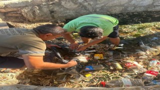 Belediye, sivrisinek ve kötü koku oluşumunu önlemek için dere yataklarını temizledi