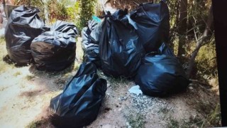 Beyazsu Mesire Alanında vatandaş traktör kiralayarak çöpleri toplatıyor