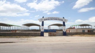 Beyşehir hayvan pazarı şap hastalığı nedeniyle kapatıldı