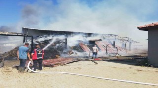 Bilecikte at çiftliğinde yangın