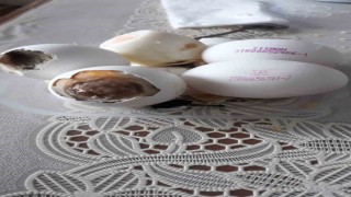 BİMden aldığı yumurtaların hepsi bozuk çıktı