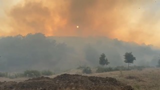 Bingölde iki köyde çıkan orman yangını söndürüldü