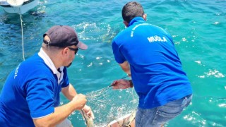 Bodrumda hayalet ağ temizliği yapıldı