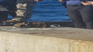 Boğazda salyangoz avlarken top mermisi buldu