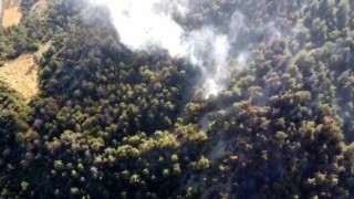 Boluda çıkan orman yangınında 5 hektarlık alan küle döndü