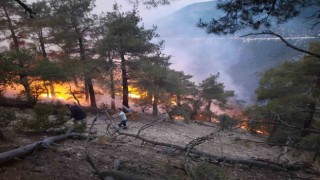 Boluda ormana düşen yıldırım yangın çıkardı