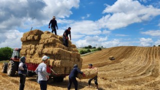 Buğday tarlasından elde edilen balyalar üreticilere verilecek