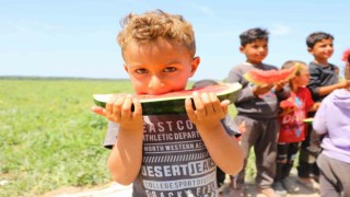 Bunaltıcı sıcaklar vatandaşı sulu meyvelere yönlendirdi