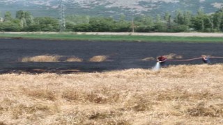 Burdurda 40 dönüm buğday tarlası yangında küle döndü