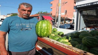 Burhaniyede emekli eğitimci, çiftçi oldu