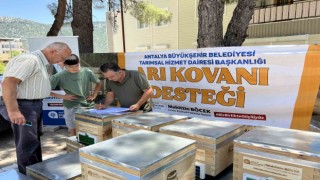 Büyükşehirin arı kovanı destekleri sürüyor
