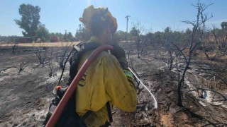 Californiada orman yangını: 3 bin 400 hektar alan yandı