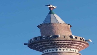 Cami minaresine takılan leyleği itfaiye ekipleri kurtardı