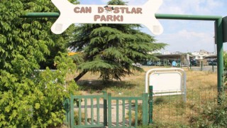 Can dostlar köpek parkı sahipsiz kaldı