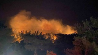 Çanakkalede orman yangını