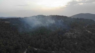 Çanakkaledeki orman yangınına günün ilk ışıklarıyla hava müdahalesi başladı
