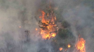 Çanakkaledeki orman yangınında 28 saat geride kaldı