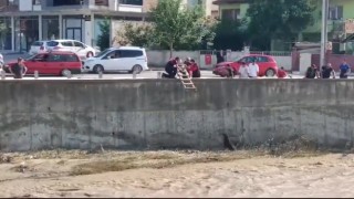 Çaresizce kurtarılmayı bekliyordu, imdadına itfaiye ekipleri yetişti