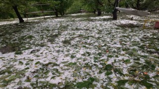 Denizli çiftçisi zararının giderilmesini istiyor