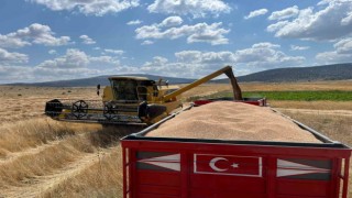 Çifteler ilçesinde çiftçi dönümden 1 ton buğday hasat etti