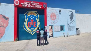 Cinayet zanlısı jandarma tarafından yakalandı