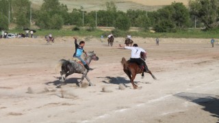 Ciritçiler bu kez Dede Korkut Şölenleri için atları dörtnala sürdüler