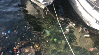 Datça Yat Limanında çevre ve deniz kirliliği