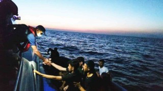 Datçada 31 düzensiz göçmen kurtarıldı