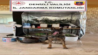 Denizlide uyuşturucu imalathanesine operasyon