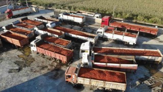 Depremle enkaza dönen kentte üretilen salça, ABD, Almanya başta olmak üzere 20 ülkeye ihraç ediliyor