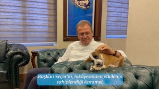 Depremzede köpek Karamel'i Başkan Seçer sahiplendi