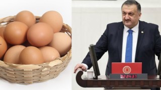 Deva partili Karal, imha edilen 127 ton yumurtayı sordu